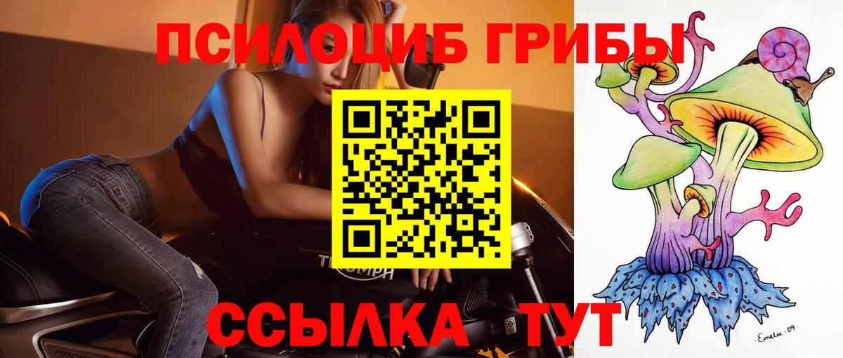 Псилоцибиновые грибы мицелий Кувандык
